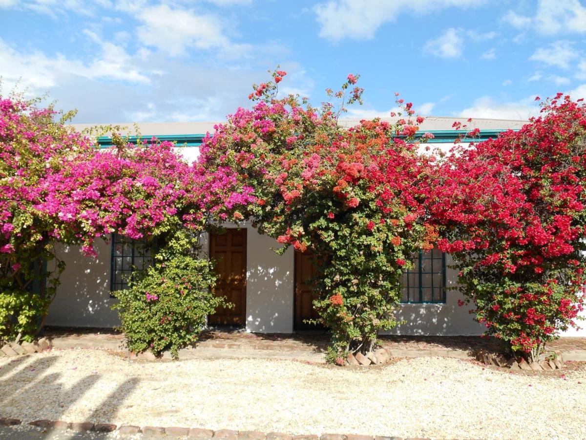 Obesa Lodge Graaff-Reinet Екстериор снимка