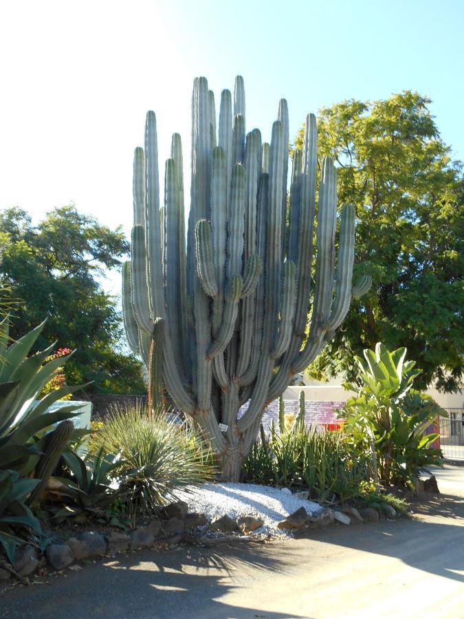 Obesa Lodge Graaff-Reinet Екстериор снимка